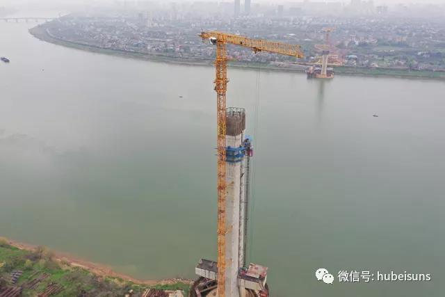 湘潭杨梅洲大桥项目平臂塔机安全监控系统顺利验收